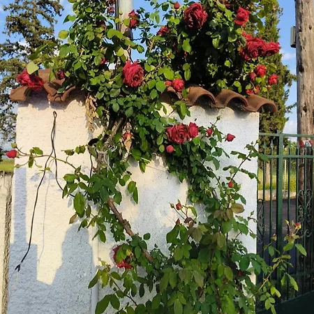 Cozy House * Tagarades